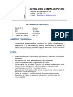 Curriculum - Vitae - Jorge Luis Gonzales Ponce