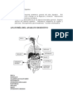 3 - Sistema Digestivo