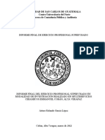 Avances Informe Final de Ejercicio Profesional Supervisado 2022 Geo