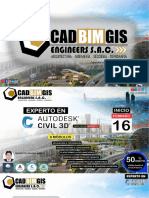 CADBIMGIS - Civil 3D Experto