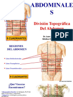 Division Topografica Del Abdomen