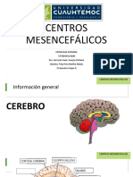 Centros Mesoencefalicos