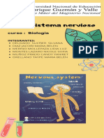 Infografía Sistema Nervioso