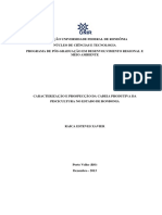 Caracterização e Prospecção Da Cadeia Produtiva Da DA PISCICULTURA NO ESTADO DE RONDONIA