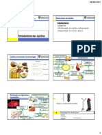 Aula 9 - Metabolismo Lipídeos