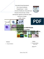 Modulo Dos