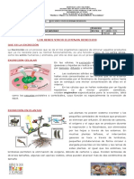 Guia 1 - Naturales - La Excrecion