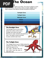 Ocean Layers: Sunlight Zone Twilight Zone Midnight Zone Abyss Trench