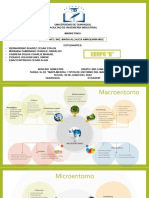 Mapa Mental Grupo B