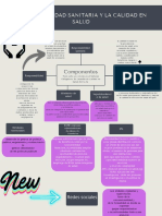 Mapa Conceptual Respónsabilidad Sanitaria 2