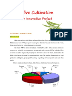 2018120458olive Cultivation An Innovative Project