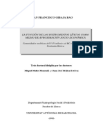 TESIS La Función de Los Instrumentos Líticos Como Medio de Aproximación Socioeconómica