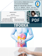 TIFOIDEA