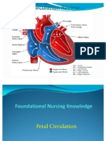 Fetal Circulation