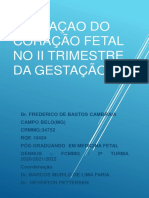 Avaliaçao Do Coração Fetal Ii Trimestre PDF