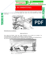 El Ecosistema para Tercero de Primaria