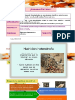 Nutricion Heterotrofa