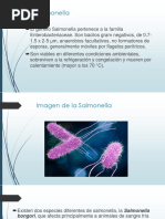 Enfermedades Causadas Por Microorganismos