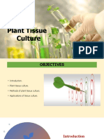 Plant Tissue Culture