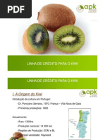 Investimento Kiwi