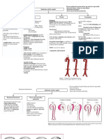 Síndrome Aórtico Agudo