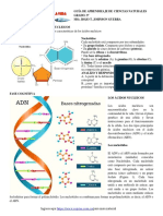 GT 2021 CN g9 Que Son Los Ácidos Nucleicos