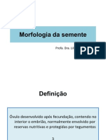 Morfologia Da Semente