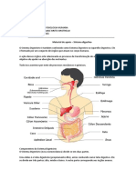 Material de Apoio - Sistema Digestivo