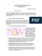 Practica 3 Embriologia