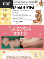 Espina Bifida