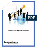 Corporate Business Structure 1.1