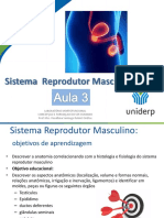 3 Sistema Reprodutor Masculino 2022 1 220303 091020