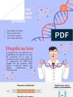 Microduplicacion y Mosaicismo