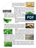 10 Plantas Medicinales