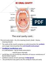 The Oral Cavity