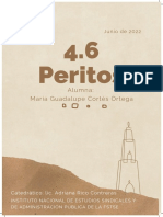 Tema 4.6 Peritos María Guadalupe Cortés Ortega