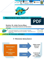 3 Procesos Aerobios