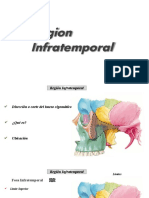 Región Infratemporal