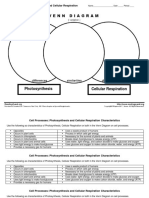 Cell Processes: Photosynthesis and Cellular Respiration