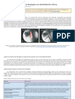 Constricción Faríngea - de La Fisiología A La Rehabilitación Clínica