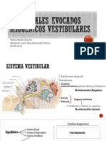 Potenciales Evocados Miogénicos Vestibulares