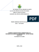 Fichamento - o Direito Constitucional Internacional e A Proteção Dos Direitos Fundamentais