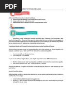 2 Chapter 4 Transition Words