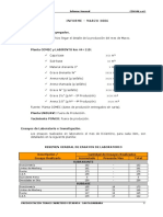 3-Informe Marzo 06