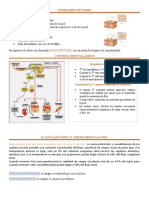 2.-Fisio Termorreceptores 2