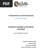 Blefaritis Posterior VS Blefaritis Anterior