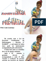 Aula Pre Natal