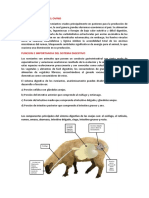 Sistema Digestivo Del Ovino-Anatomia