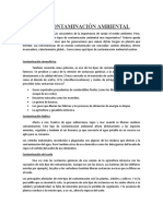 TIPOS DE CONTAMINACIÓN AMBIENTAL ... Documento.