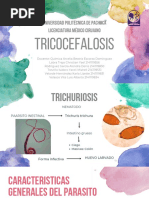 Tricocefalosis